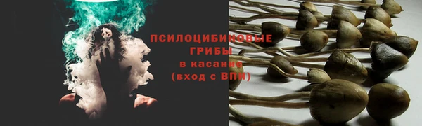 крисы Волоколамск