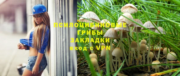 крисы Волоколамск