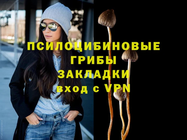 прущие крисы Рославль